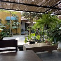 Outside seating in the back. Very peaceful. ☺️   at Tropical Eatery by Chay Vui in Hoi An