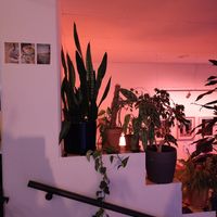  at Café Cosmo in Landau