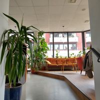  at Café Cosmo in Landau