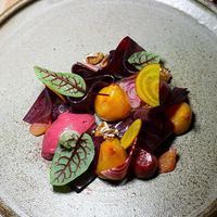 pecans, maple syrup, fermented kohlrabi compressed pears, SALT ROASTED BEET SALAD  at Botanist in Vancouver