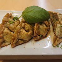 Gyozas at Kabuki Sushi in Leiria