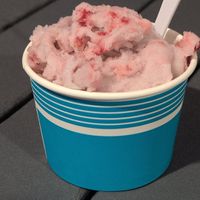 Raspberry lavender sorbet at Guyer's Ice Cream & Doughnuts in Crystal River