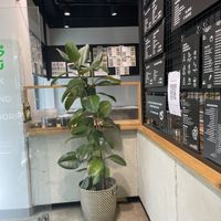   at Pottsalat in Cologne