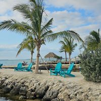 View from our table at Snook's Bayside Restaurant & Grand Tiki in Key Largo