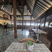 Roots at Roots  in Canggu