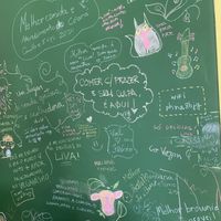   at LIVA Vida Vegana in Fortaleza