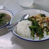 tofu basil + morning glory at J-Yai Restaurant Organic Vegetables in Chiang Mai