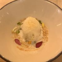 Dessert with yuzu sorbet  at Umami in Rotterdam