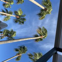   at PLAT a PLAT in Mallorca