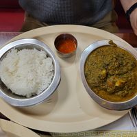 Aloo with spinach and rice at Udipi Cafe in Monroeville
