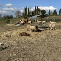Rifugio accanto all’agriturismo  at Agriturismo La Tana del Bianconiglio in Castiglione Dorcia