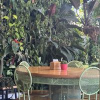 Cute decor  at PURALMA Vegan Bakery in San Jose