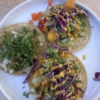 Seafood and chicharrón tacos  at The Forward Thinking Eatery in San Jose Del Cabo