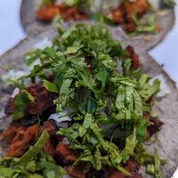  at The Forward Thinking Eatery in San Jose Del Cabo