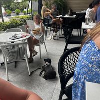 Dog friendly dining    at Moxies in Fort Lauderdale