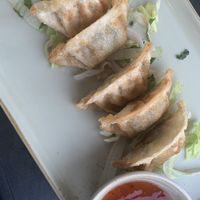   at Vinavegana in Vienna