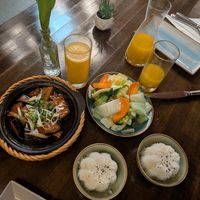  at Vinavegana in Vienna