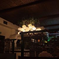  at Vinavegana in Vienna