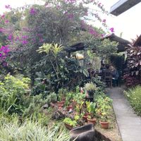 Garden seating  at Axul Cafe in Concepcion De Ataco