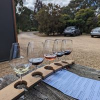 Pick 5 wines for a tasting at Summerfield Winery in Moonambel