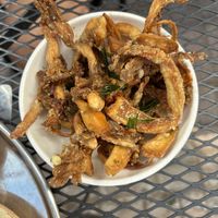Yansu mushrooms  at MAZU in Yellow Springs
