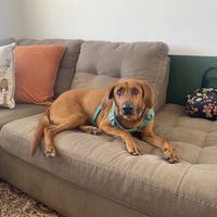   at CoCre Cafe in Augusta