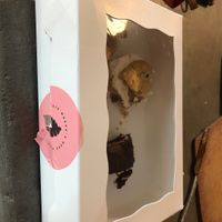 They were so good, my family devoured the contents before I could take a decent picture 😬  at Maggie Magee's Bake Shop in Fircrest