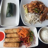 Sticky rice, tofu pad Thai, spring rolls, and steamed rice.   at Mai Thai Restaurant in Alexandria