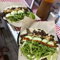   at Pez Vegano in Mexico City