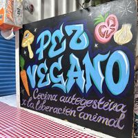   at Pez Vegano in Mexico City