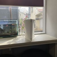 Inside at Cafe Chairo in Tokyo