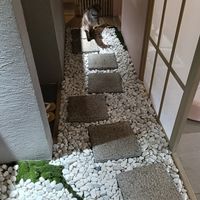  at Cafe Chairo in Tokyo