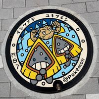 Pokemon Manhole in front of hotel at Kadar Terrace Kindaichi - カダルテラス金田一 in Ninohe