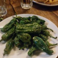 Padron Peppers at The Village Green in North London