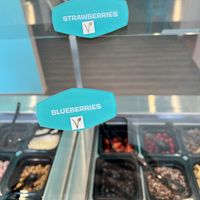 Vegan toppings clearly marked   at Easy Breezy Frozen Yogurt in Los Gatos