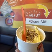 Vegan Creation  at Yogurt Mill - Pelandale Av in Modesto