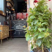   at Coffee Circus Porto in Ta Xbiex