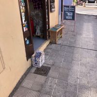  at Slow Coffee in Tenerife