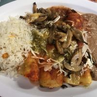 Enchiladas con mushrooms  at Tarascos in Denver