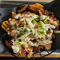 Pom Vöner at Urban Gorillas - Vegan Revolution in Dusseldorf