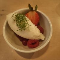 Apple and ginger sorbet at Troll Restaurant in Trondheim