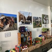 Residents of the JP Farm Animal Sanctuary in Litchfield  at Love It Vegan  in Torrington
