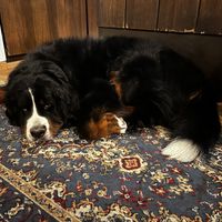   at Hotel Köhler in Stuttgart