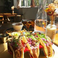 Fish Tacos, Birria Tacos, Calamari  at The Ginger Mule in Houston