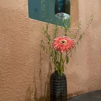   at Green Inn - Nhà hàng thuần chay in Hanoi