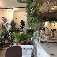 Piante e torte vegan 🌱   at Flora et Labora in Milan