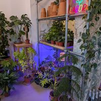 plants inside at Flora et Labora in Milan