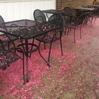 Seasonal sidewalk seating. There is also a main area for being outdoor seating options. at Parkway Pizza - Minnehaha Ave in Minneapolis