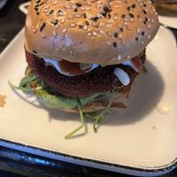   at The Harp in Hannover