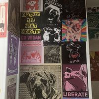 political statements  at María Candela  in Bogota